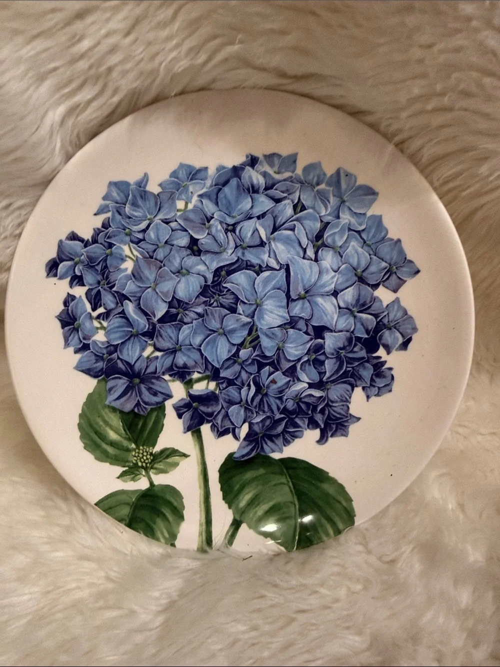 Pier 1 Imports Floral Medley Decorative Accent Plates Set of 4 Ironstone 6 Inch